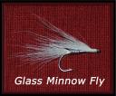 glassminnowfly.jpg