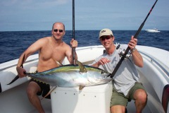 80 lb Yellowfin